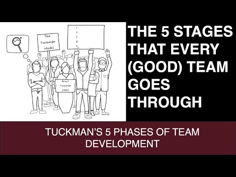 What stage in team building emphasizes the significance of the formation of a team?