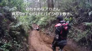 バイク楽しむ隊　2016 7 17 房総オフ