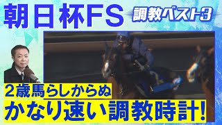 「すんごい気になる！」ミュージアムマイル 、アルテヴェローチェ、ルレッキーノ・・・競馬エイト・高橋賢司トラックマンの調教解説＜朝日杯フューチュリティステークス(ＧⅠ)＞