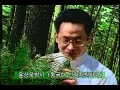 제일제당 솔의눈 1999년