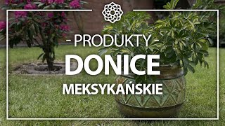 Donice ogrodowe z Meksyku