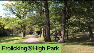 Frolicking Around High Park a Municipal Park in Toronto, Ontario