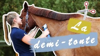 LA TONTE DU CHEVAL 1/2 - LA DEMI TONTE ✂️