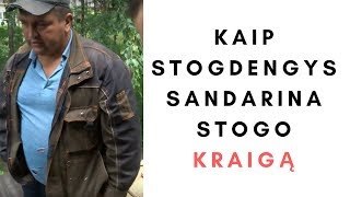 KAIP STOGDENGYS SANDARINA STOGO KRAIGĄ