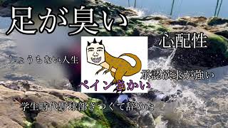 ペインさかいの【事故】紹介 part2