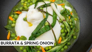 Burrata with Spring Onion Purée by Mike Reid