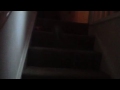 IMG 0521 1