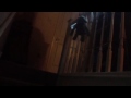 IMG 0521 1