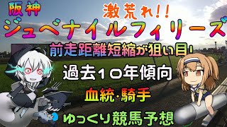 激荒れ！【2022年阪神ジュベナイルフィリーズゆっくり競馬予想】過去10年30頭の過去傾向・血統・騎手・脚質・キャリア数からのゆっくり解説です。先週の実践結果も。