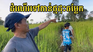 Walking to growing ricks in forest ដំណើរ​ទៅ​កាន់​ទួល​ថ្ម​ដុះ​ក្នុង​ព្រៃ​ សត្វ​ហេីរ​ពី​លេីធ្លាក់​ងាប់