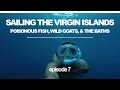 Sailing the BVI's: Poisonous Fish, Wild Goats, and the Famous 'Baths' (Sailing Ruby Rose) Ep 7