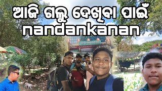 ଆଜି ଗଲୁ ଦେଖିବା ପାଇଁ 🦍NANDANKANA 🐒||