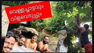 വിളവെടുപ്പും വെള്ളച്ചാട്ടവും || കേരള അട്ടിയിലെ അട്ടയും || കരുവാരകുണ്ടിലെ പാന്ത്ര അട്ടിയിലെ കാഴ്ചകൾ