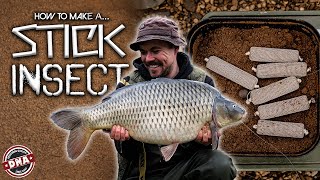 HOW TO MAKE A STICK INSECT | CARP FISHING | DNA BAITS | BAIT ADVICE | TIPS & TECHNIQUES | CARP RIGS