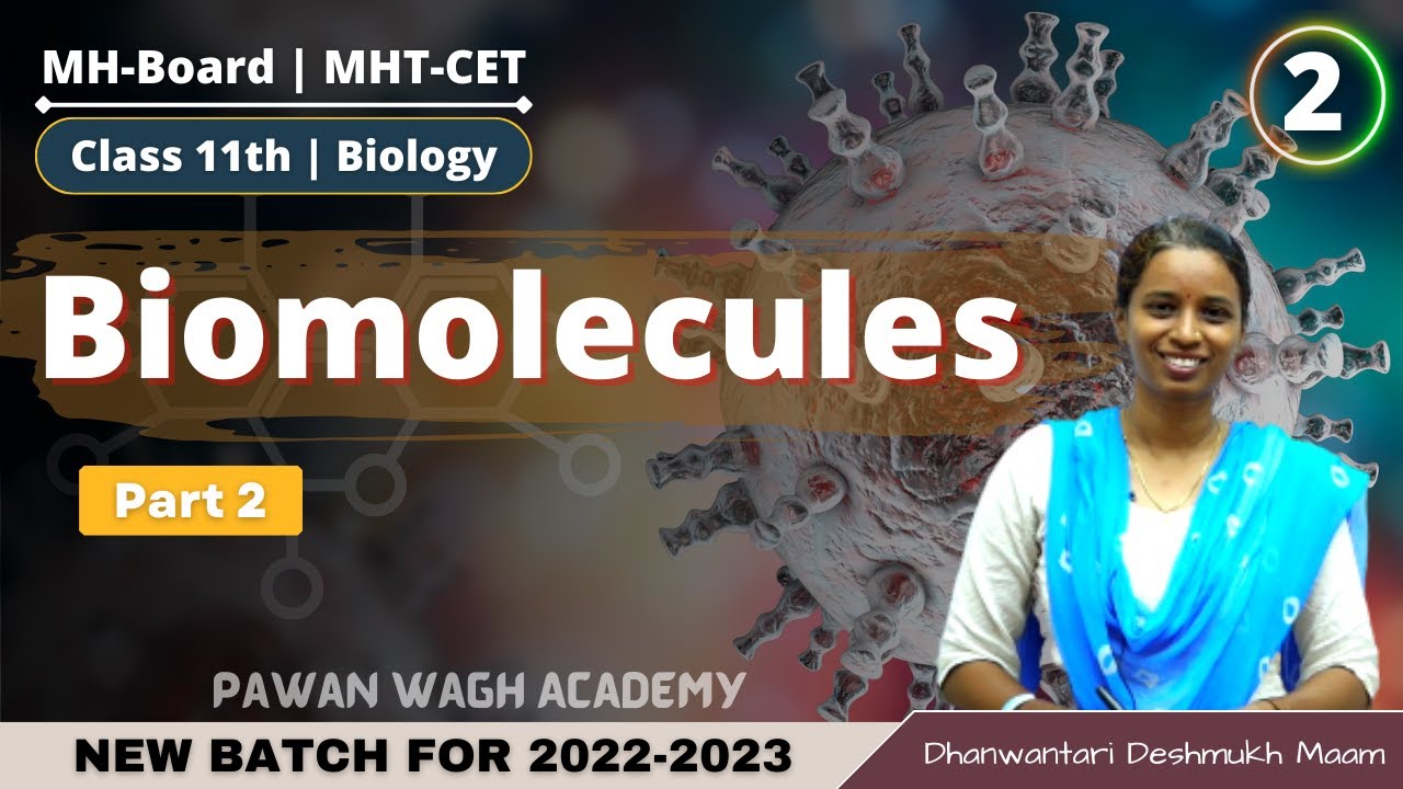 Biomolecules | Class 11th Biology | Part 2 - YouTube