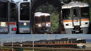 JR東海 373系　飯田線 東海道線を走る (走行映像集)