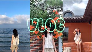 Vlog. 여자 혼자 경주 여행🌳,포항여행🚊,대구,대릉원,영일대,포토매틱,이스트1779,경주핫플,여행 브이로그 /trip to Gyeongju