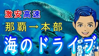 【ジンベエマリン】那覇から本部町まで75分！名護-本部間を25分で結ぶ高速船！