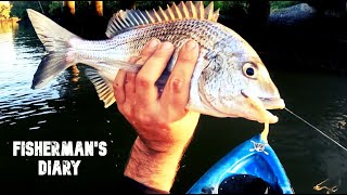 Epic Bulimba Creek Plastics Fishing Session ~ Fisherman's Diary Ep 749