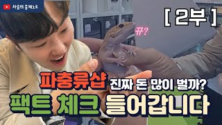 도마뱀 한 마리에 몇백만원?! 파충류샵 창업 진짜 떼돈벌까? [2부]