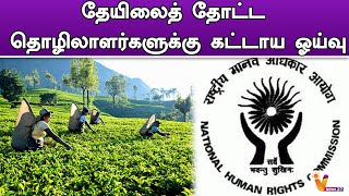 தேயிலைத் தோட்ட தொழிலாளர்களுக்கு கட்டாய ஓய்வு | Tirunelveli | | Manjolai | | Tea | | Worker | Tamil |