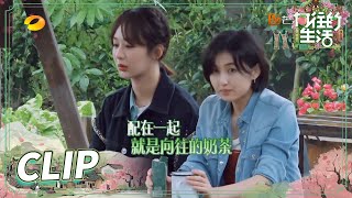 张子枫自制奶茶小妙招☕一口奶一口茶享受双倍快乐！《向往的生活5》 Back to Field S5 EP4丨MGTV