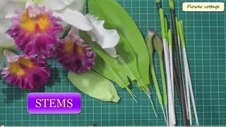 Catleya orchids Tutorial Course #11) Stems