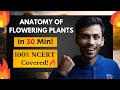 Anatomy of Flowering Plants in 30 Min! | Fast Revision ONE SHOT🔥| Class 11 | NEET