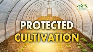 Protected Cultivation (English)