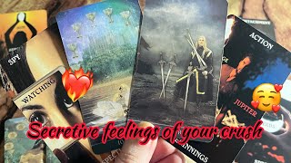 Secretive feelings of your crush❤️‍🔥Crush current feelings | Hindi tarot card reading