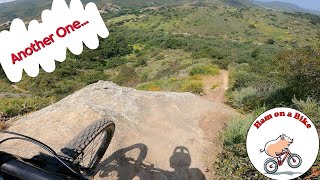 Aliso Woods MTB Trails / Bong Drop | Kindergarten | Holy Mac