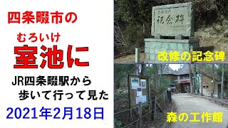 四條畷市の室池にJR四条畷駅から歩いて行って見た  2021/02/18