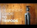 Beginners Guide to Tripods - Benefits, How to Use, Recommended Tripod Gear