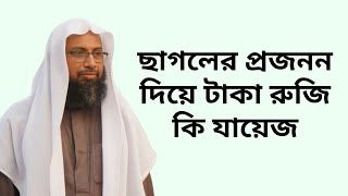 ছাগলের প্রজনন দিয়ে টাকা রুজি কি যায়েজ