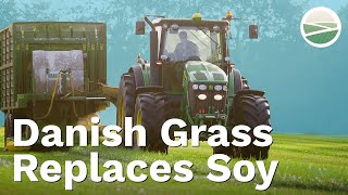 The Green Revolution, how Danish Grass replaces Soy in Animal Feed | EU SCIENCE