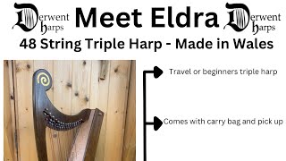 Eldra - is this the the world’s smallest playable Triple Harp ? 48 strings - made in wales