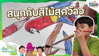 สนุกกับสีไม้สุดว้าว | บ้านนักวิทยาศาสตร์น้อย