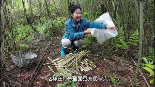 雨后小竹笋疯长，媳妇拔笋速度真快，10分钟拔一蛇皮袋，拔过瘾了！竹笋在淘宝店铺：香香农货店