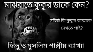 মাঝরাতে কুকুর ডাকে কেন? Why dog howl at the night? Spiritual Power