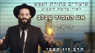 סוד הקורבנות - להכניס צבע לרגעים האפורים | הרב זיו קצבי | פרשת צו תשפ\