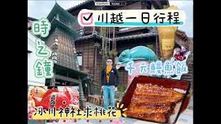 『翔翔可樂果』日本東京自由行 川越一日遊 冰川神社 傳米鰻魚飯 川越老街 江戶川時之鐘 龜屋伴手禮