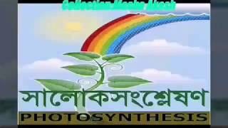 Photosynthesis system || সালোকসংশ্লেষন প্রক্রিয়া || Full