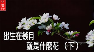 【出生月測試】你幾月出生，你就是什麼花。據說超準！（下）