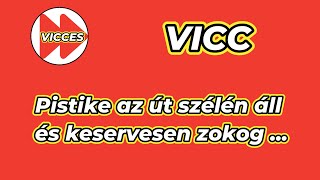 VICCES - VICC - Pistike az út szélén áll és keservesen zokog ...