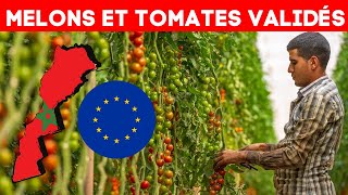 France :  Le Polisario Voulait Bloquer les Exportations Marocaines… Échec Total