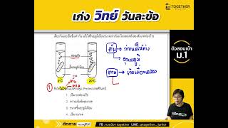 ตะลุยโจทย์ ONET ป.6 [วิทย์ #ตัวแปรในการทดลอง] / ครูวันTogether