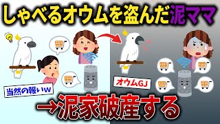 【スカッと再編集】勝手に商品注文してしまうオウムを盗んだ泥ママ→泥一家が破産…【2ch修羅場スレ・ゆっくり解説】