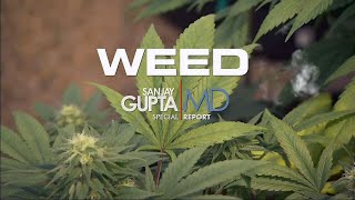 Dr Sanjay Gupta: Weed - CNN Special Documentary