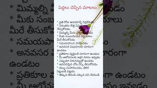 పెద్దలు చెప్పిన మాటలు