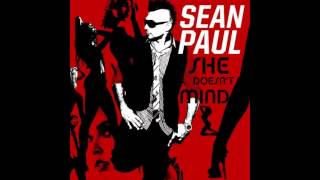 Sean Paul -She doesn't mind (Pitbull version)